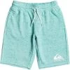 Quiksilver Easy Day Sweat Shorts Boys Geah Cabbage Heather 2 Quiksilver Easy Day Sweat Shorts Boys Geah Cabbage Heather -Water Adventure 41541671081a Quiksilver Easy Shorts Men geah