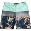 Quiksilver Everyday Panel 16" Board Shorts Boys Beach Glass -Water Adventure 48441678521a Quicksilver Everyday Panel 16 Boardshorts Jun beach glass