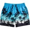 Quiksilver Everyday Paradise 14 Swim Shorts Boys Blithe 1 Quiksilver Everyday Paradise 14 Swim Shorts Boys Blithe -Water Adventure 48441679894a Quicksil PARAD 14 JAMV Badesh Ju BLITHE