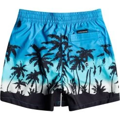 Quiksilver Everyday Paradise 14 Swim Shorts Boys Blithe -Water Adventure 48441679894b Quicksil PARAD 14 JAMV Badesh Ju BLITHE