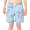 Rip Curl Orb Volley Shorts Boys Light Blue -Water Adventure 48447380172a Ripcurl Orb Volley Shorts Ju lig bl